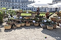 VBS_2402 - FloReal 2021 alla Palazzina di Caccia di Stupinigi